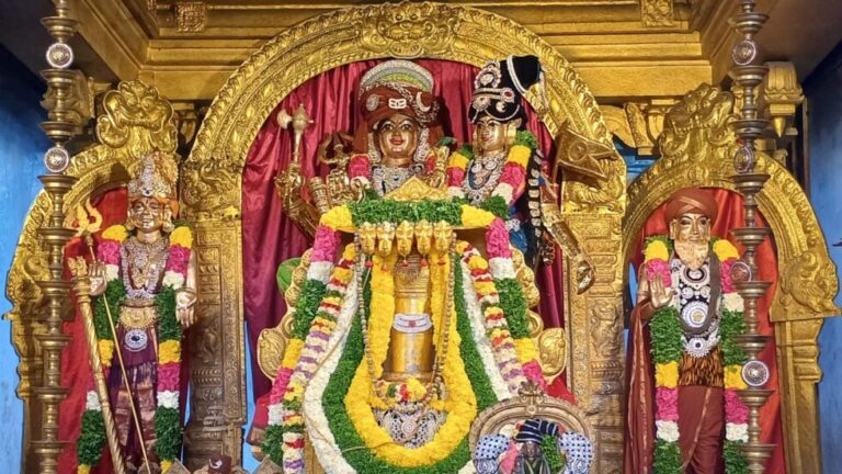 Hindus Worldwide Celebrate Nithyananda Jayanti